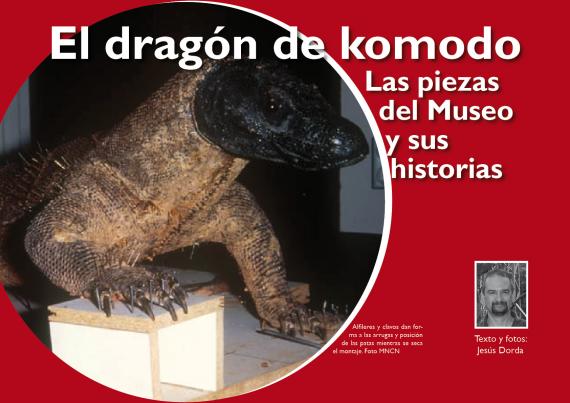 Portada dragón de komodo