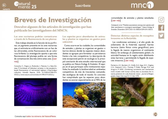 Breves nm25