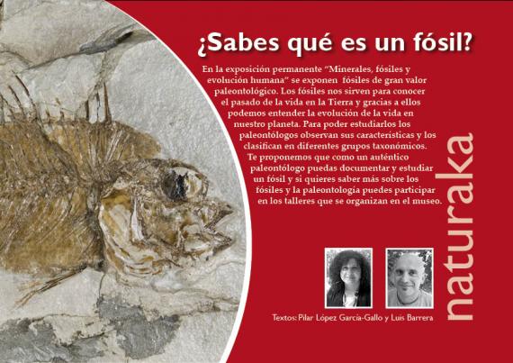 Naturaka. Sabes lo que es un fósil 