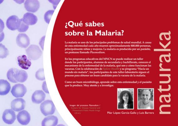 naturaka ¿que sabes sobre la malaria?