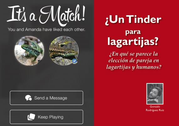 Un tinder de lagartija