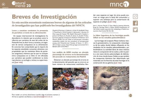 Breves nm20