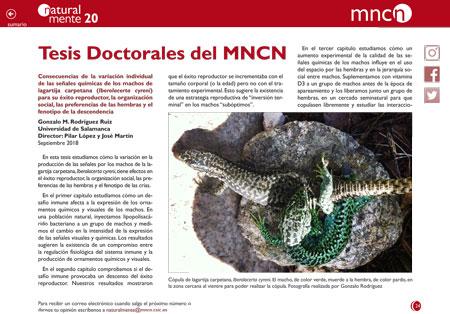 Tesis nm20