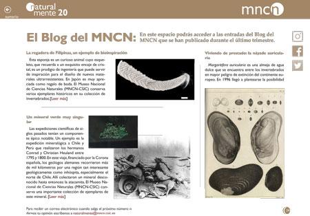blog nm20
