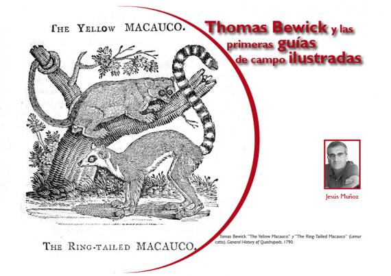 Thomas Bewick