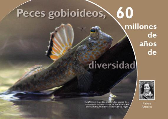 Portada del artículo "Peces goboideos, 60 millones de años de diversidad" de la revista NaturalMente nº 5