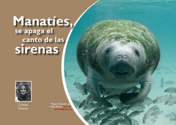 Portada del artículo "Manatíes, se apaga el canto de las sirenas" de la revista NaturalMente nº 5