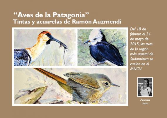 Portada del artículo "Aves de la Patagonia” Tintas y acuarelas de Ramón Auzmendi de la revista NaturalMente nº 5