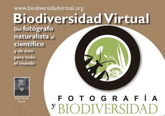 Portada del artículo "Biodiversidad Virtual. Del fotógrafo naturalista al científico y de éste para todo el mundo" de la revista NaturalMente nº 5