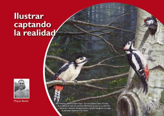 Ilustrando la realidad 