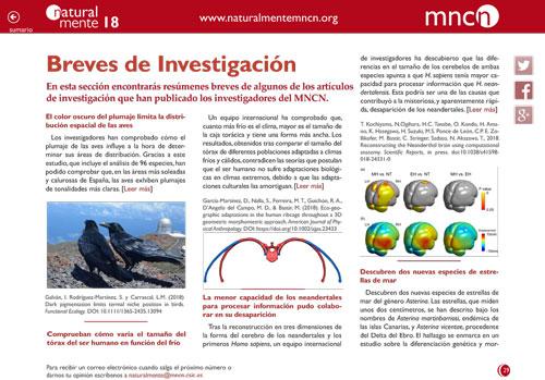 Breves nm18