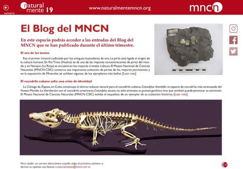 Blog nm19