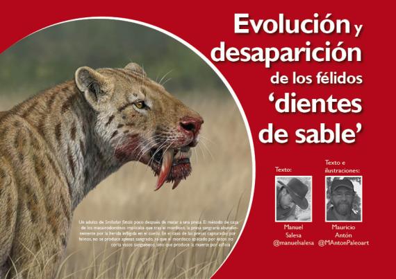 Portada del artículo "Evolución y desaparición de los félidos 'dientes de sable'" de la revista NaturalMente nº 7