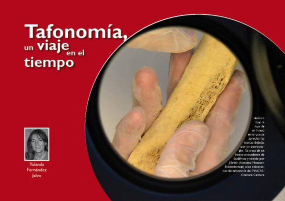 Portada del artículo "Tafonomía, un viaje en el tiempo" de la revista NaturalMente nº 7
