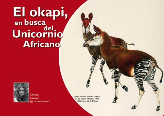 Portada del artículo "El okapi, en busca del Unicornio Africano" de la revista NaturalMente nº 7