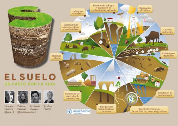 Portada del artículo "El suelo, un paseo por la vida" de la revista NaturalMente nº 8