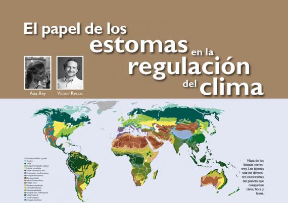 Portada del artículo "El papel de los estomas en la regulación del clima" de la revista NaturalMente nº 8