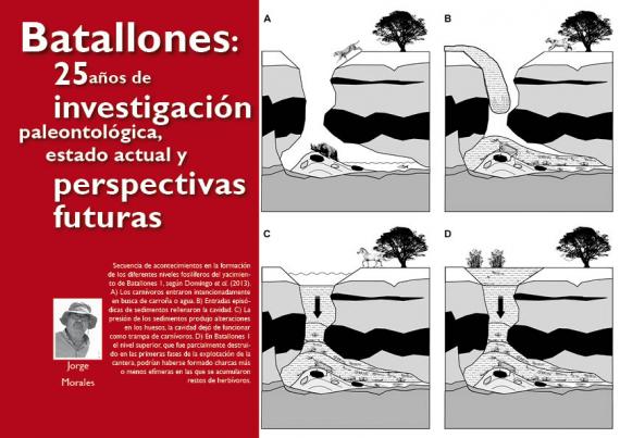 Portada del artículo "Batallones: 25 años de investigación paleontológica, estado actual y perspectivas futuras" de la revista NaturalMente nº 8