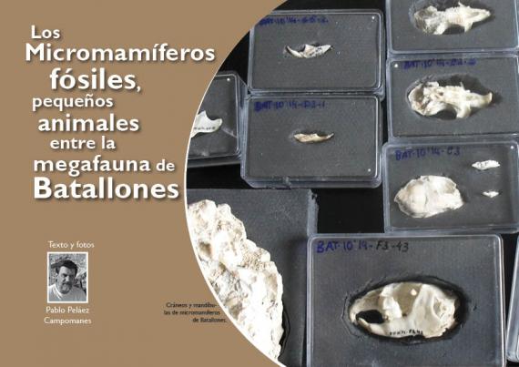 Portada del artículo "Los Micromamíferos fósiles, pequeños animales entre la megafauna de Batallones" de la revista NaturalMente nº 8