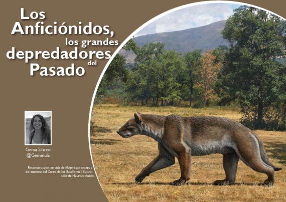 Portada del artículo "Los anficiónidos, los grandes depredadores del pasado" de la revista NaturalMente nº 8