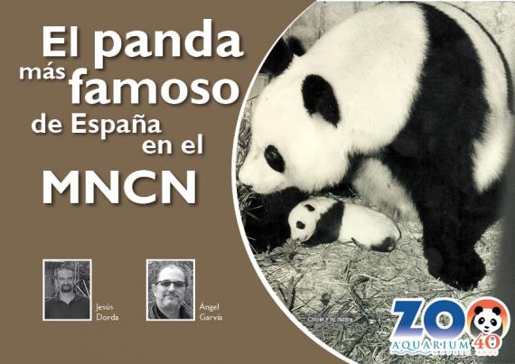 El panda más famoso de España en el MNCN | Museo Nacional de Ciencias  Naturales