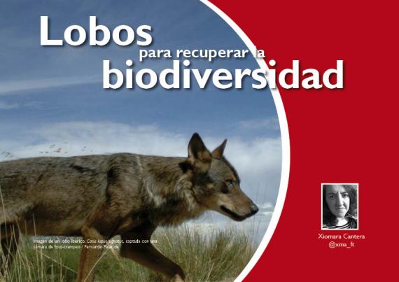 Portada del artículo "Lobos para recuperar la biodiversidad" de la revista NaturalMente nº 9