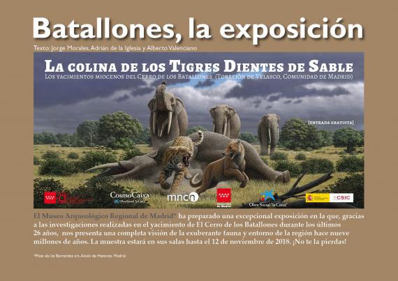 expo Batallones