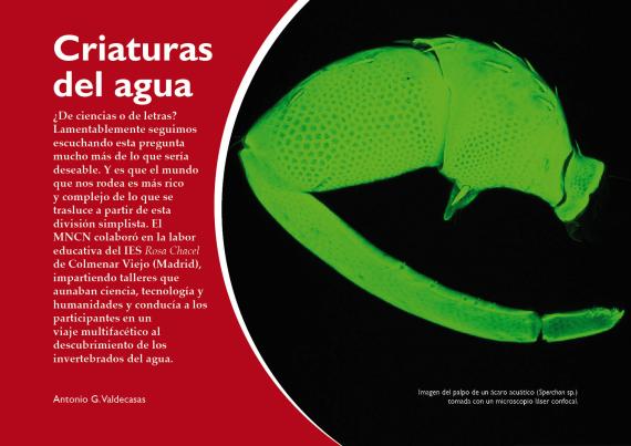 critaturas del agua
