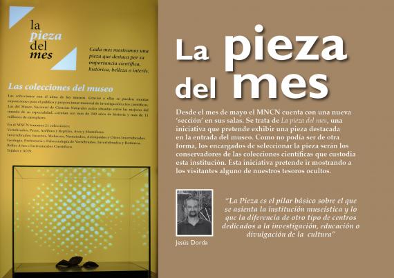 piez mes