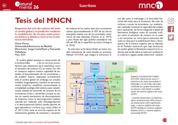 Tesis nm26