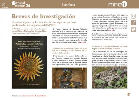 Breves nm26