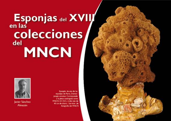 Portada del artículo "Esponjas del XVIII en las colecciones del MNCN" de la revista NaturalMente nº 11
