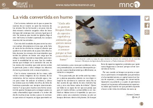 Portada del artículo "La vida convertida en humo" de la revista NaturalMente nº 11