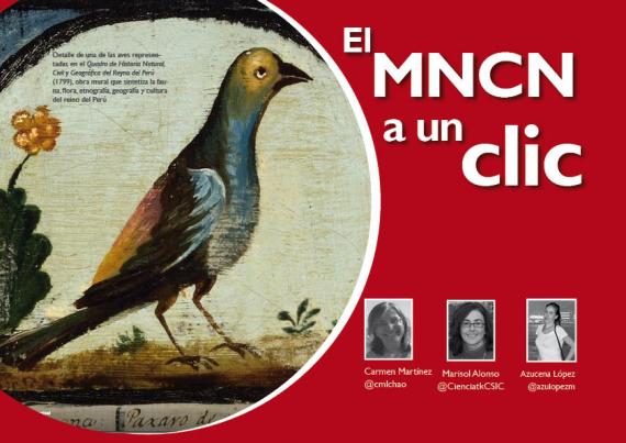 Portada del artículo "El MNCN a un clic" de la revista NaturalMente nº 12