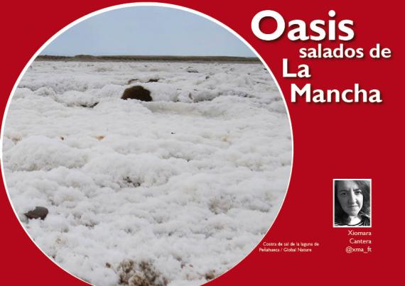 Portada del artículo "Oasis salados de La Mancha" de la revista NaturalMente nº12