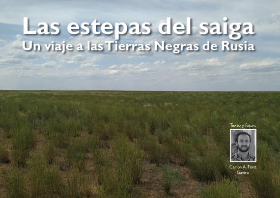 Estepa rusa