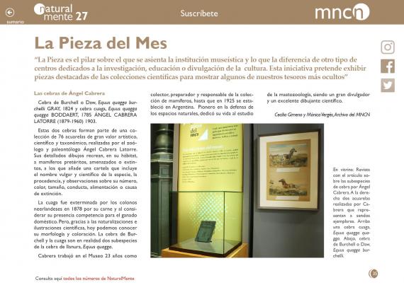 Pieza del mes nm27