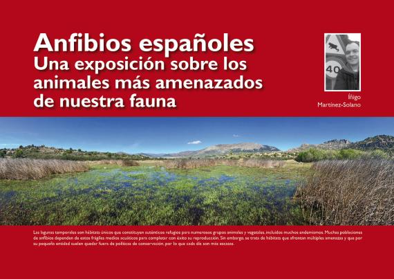 Anfibios