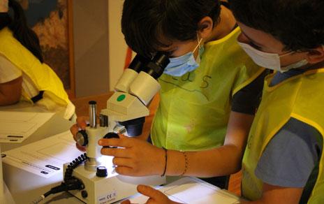 Niños mirando por una lupa 