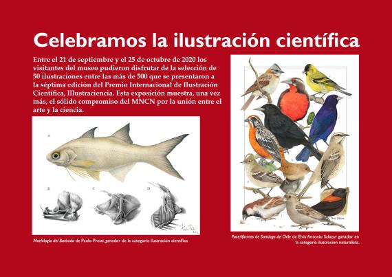 illustraciencia 2020