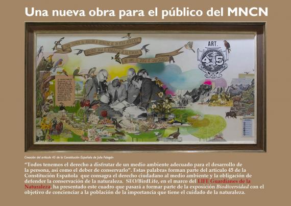Artículo 45