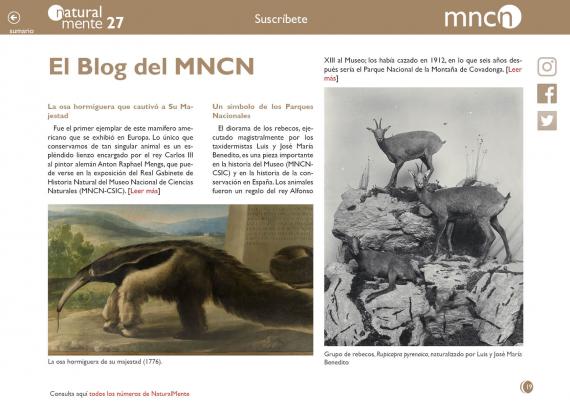 Blog mncn 
