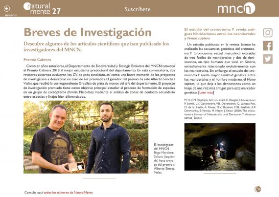 Breves nm28