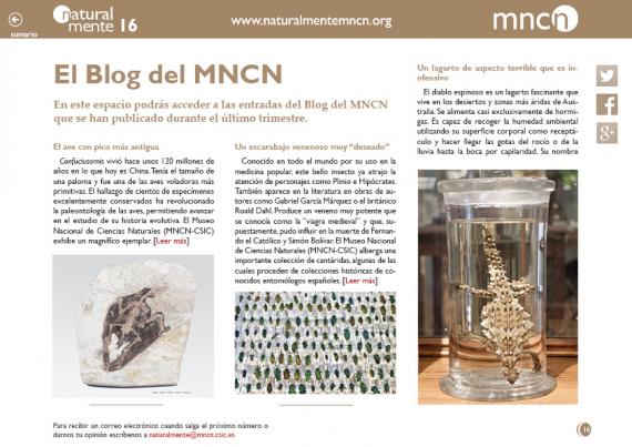 Portada del artículo del Blog del MNCN