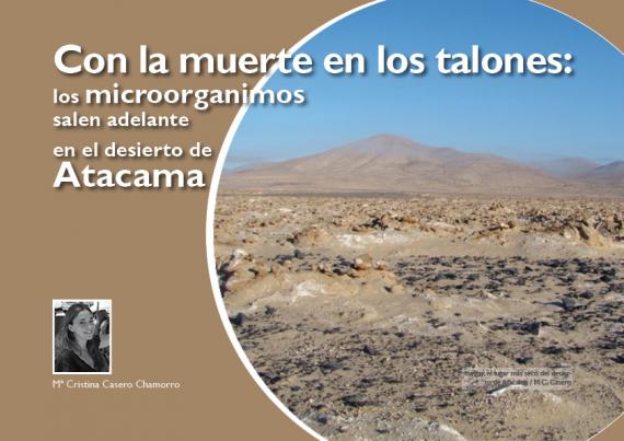 Portada del artículo "Los microorganimos salen adelante en el desierto de Atacama"