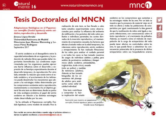 Portada del artículo Tesis doctorales del MNCN