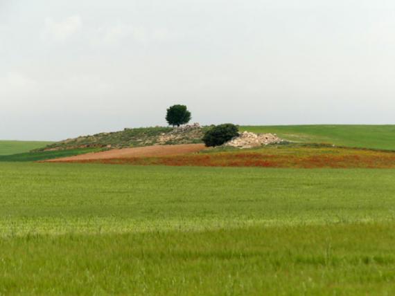 Imagen de un paisaje agrario / Mario Díaz