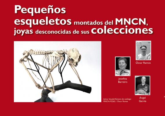 Portada del artículo