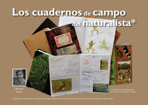 Los cuadernos de campo del naturalista | Museo Nacional de Ciencias  Naturales