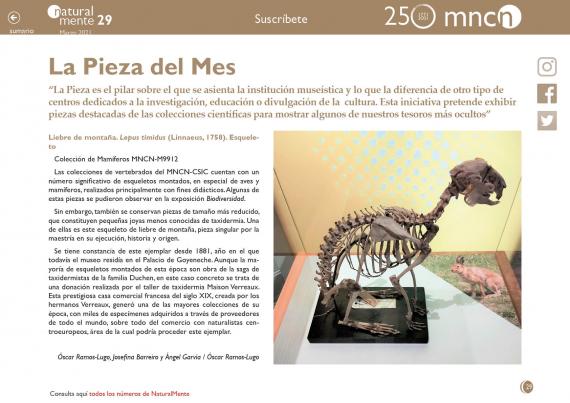 Imagen de la sección